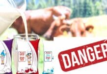 Amul: ಅಮುಲ್ ಹಾಲಿನ ಅಸಲಿ ಬಣ್ಣ ಬಯಲು! ಗ್ರಾಹಕರೇ ಹುಷಾರ್; ಶಾಕಿಂಗ್ ವರದಿ ಇಲ್ಲಿದೆ Amul