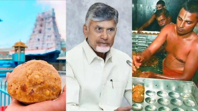 Tirupati Laddu: ಭಕ್ತರ ನಂಬಿಕೆಗೆ ವಿಷ? ಬರೊಬ್ಬರಿ 20 ಕೋಟಿ ಕಲಬೆರಕೆ ಲಡ್ಡು ಹಂಚಿಕೆ! ಬೆಚ್ಚಿಬೀಳಿಸುವ ಸತ್ಯ ಬಿಚ್ಚಿಟ್ಟ ಸಿಎಂ
